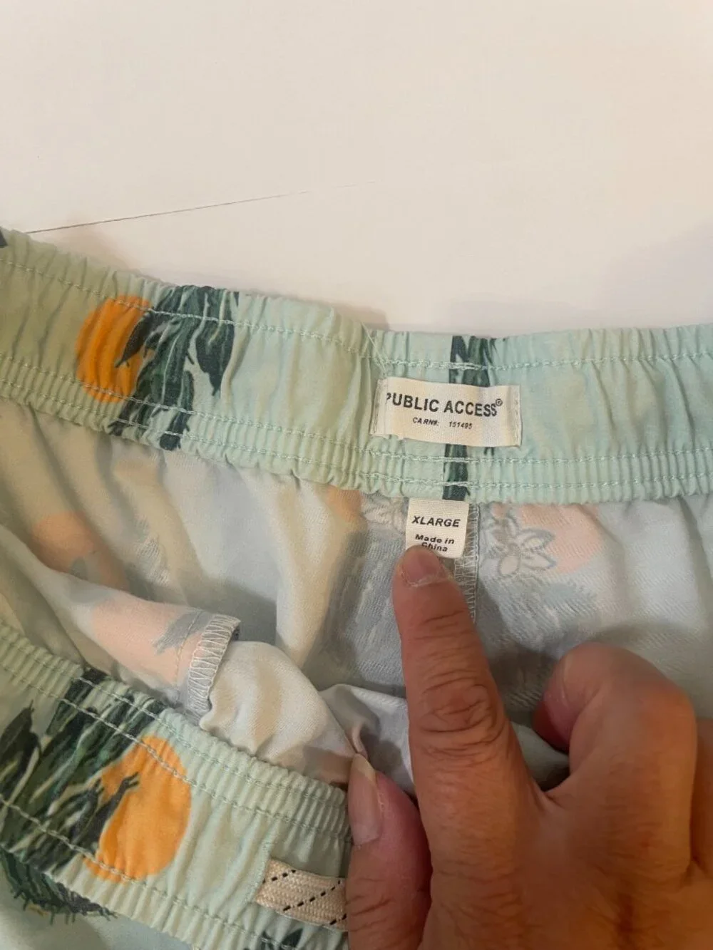Public Access XL Cactus Print Swim Trunks Mint Green Beach Shorts